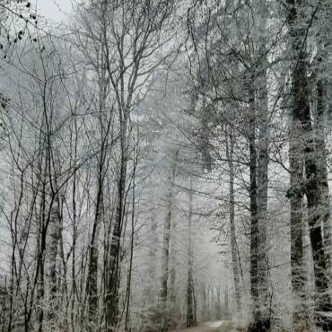 3. Donnerstags-Wanderung 2026