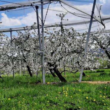 13. Donnerstags-Wanderung 2026