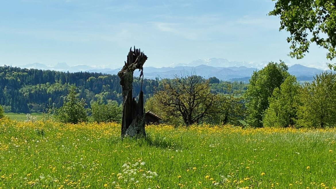 15. Donnerstags-Wanderung 2026