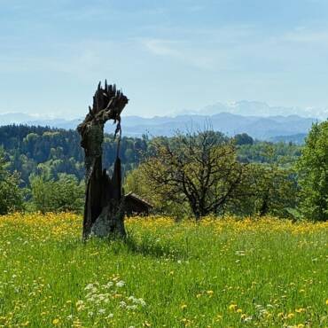 15. Donnerstags-Wanderung 2026